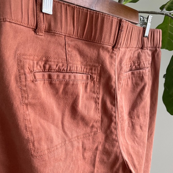 Terracotta Wide Leg Pants - Picture 3 of 4